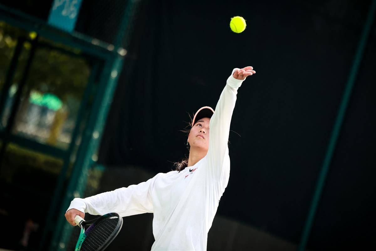 非单纯的技 非单纯的技